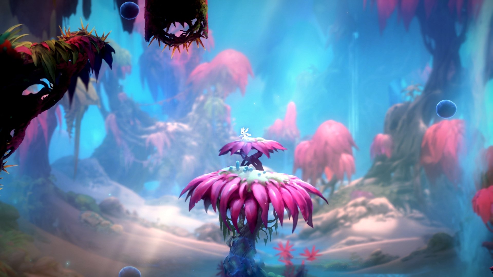 克瓦拉茨赫利亚，那一夜，格鲁吉亚的神明行走在美墨边境