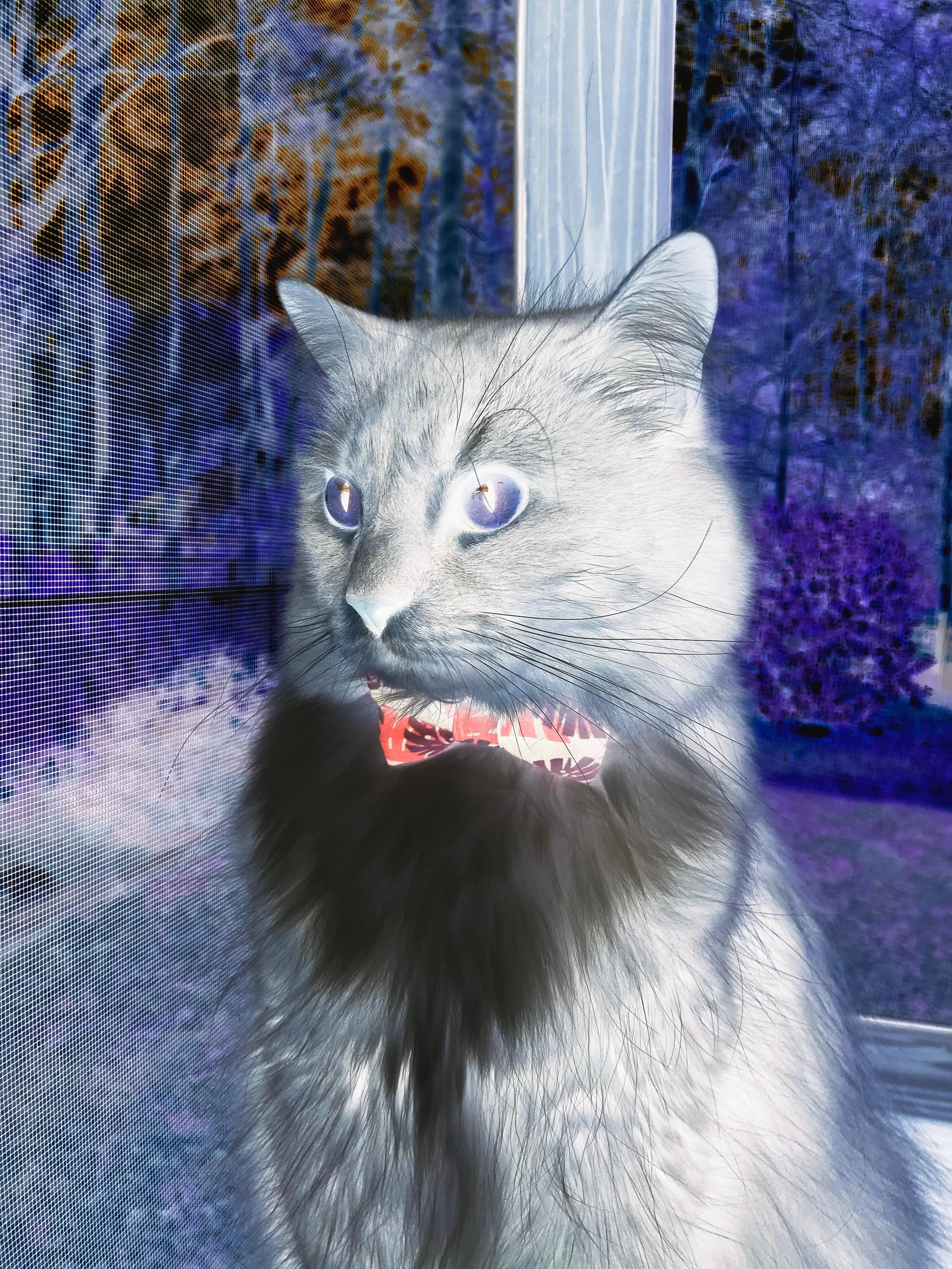 淘汰赛基因，从欧冠硝烟到雄鹿突围，绝境淬炼冠军之心