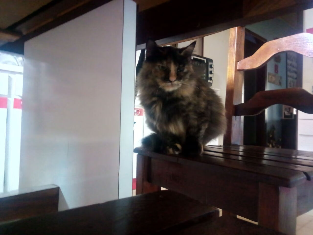 迪马利亚魔翼展翅，里昂客场碾压多特蒙德