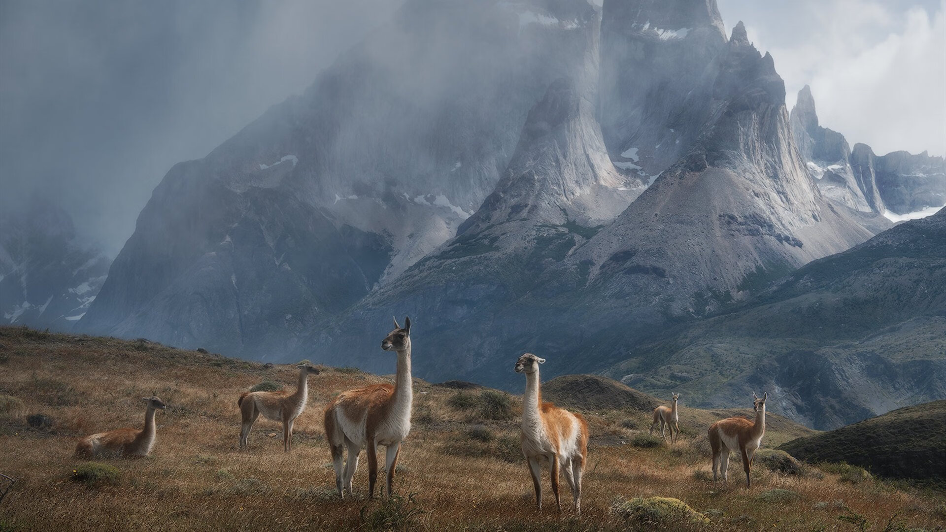当篮球场遇上绿茵场，魔术时刻降临，利拉德在意甲创造奇迹