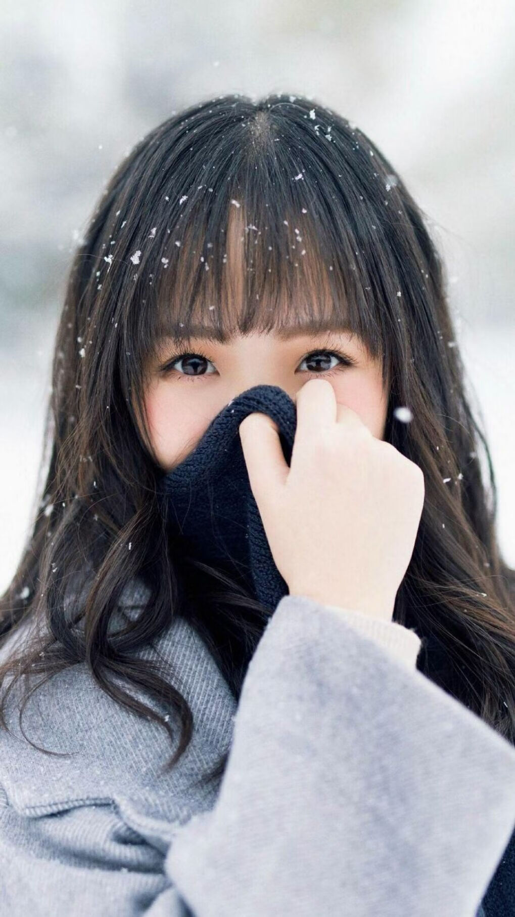 广东队精密机器斩落吉林虎,晋级之路彰显冠军底蕴