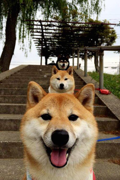 静默与爆发,当生死战的指针在基米希脚下校准