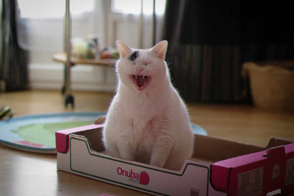 伦纳德44分击溃骑士，公牛关键战突围锁定季后赛席位