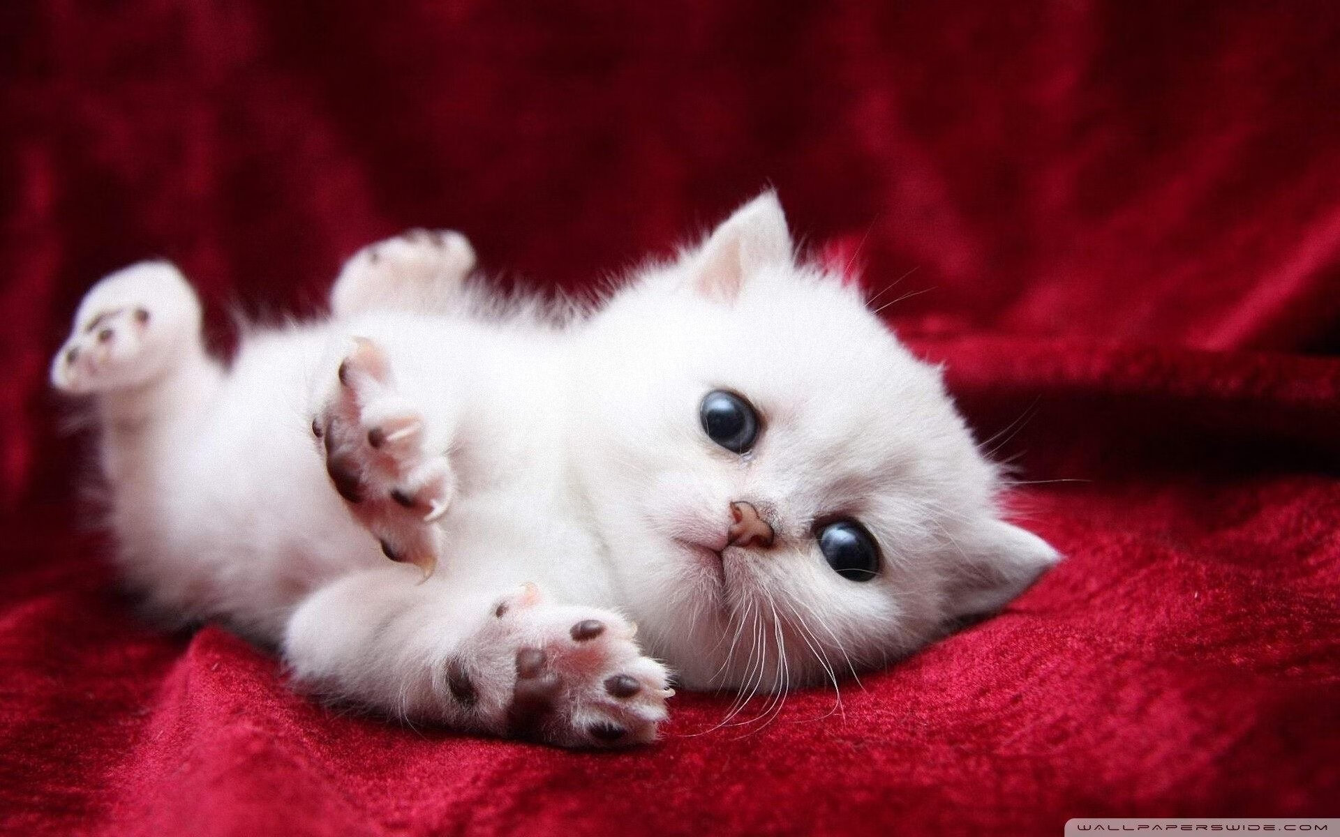 弱旅掀翻巨人,新星接管比赛,体育奇迹背后的永恒定律