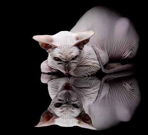 弱旅掀翻巨人,新星接管比赛,体育奇迹背后的永恒定律