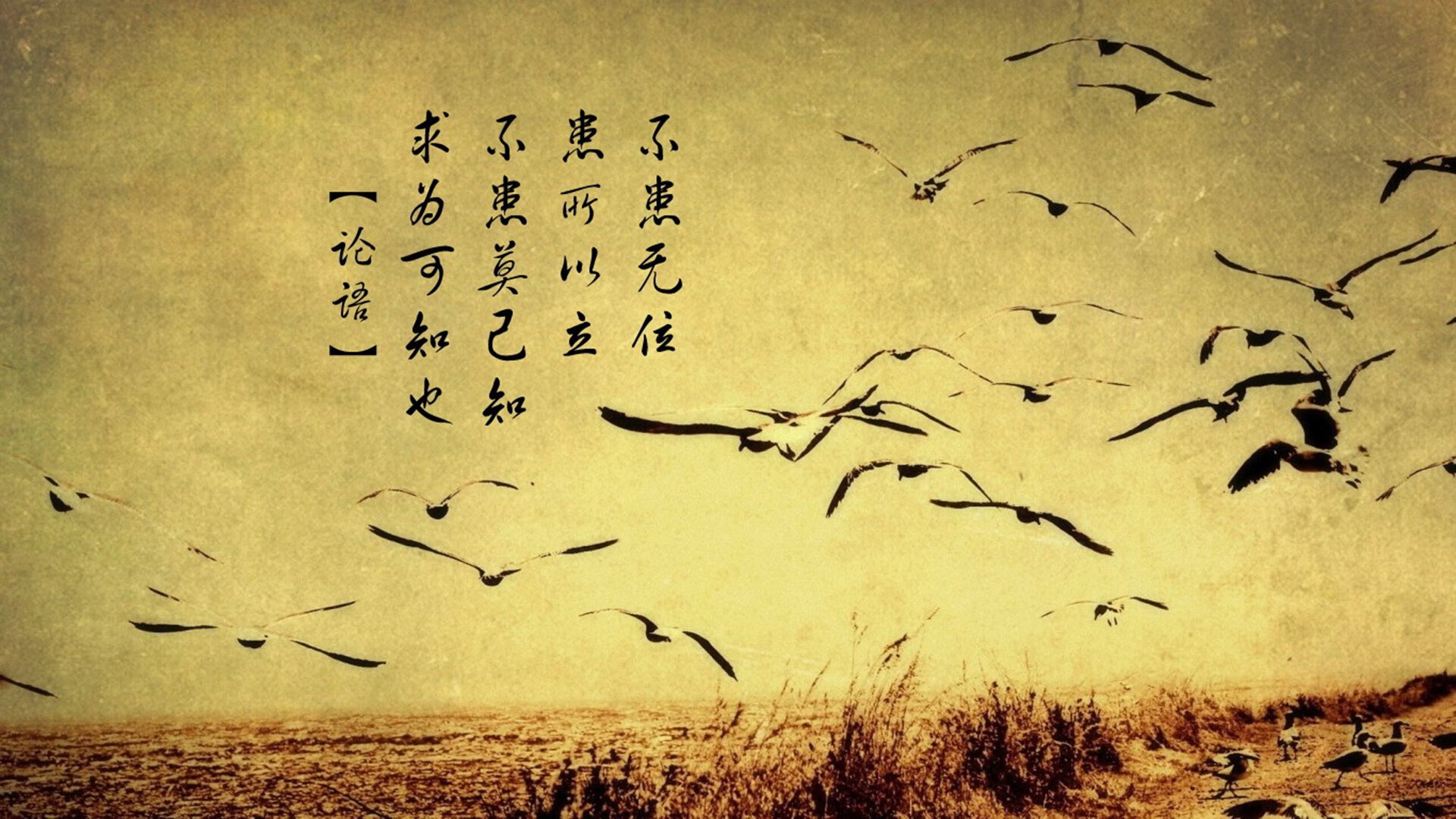 三笘薰焦点战涅槃证明自我，加纳爆冷击溃葡萄牙重塑世界杯格局