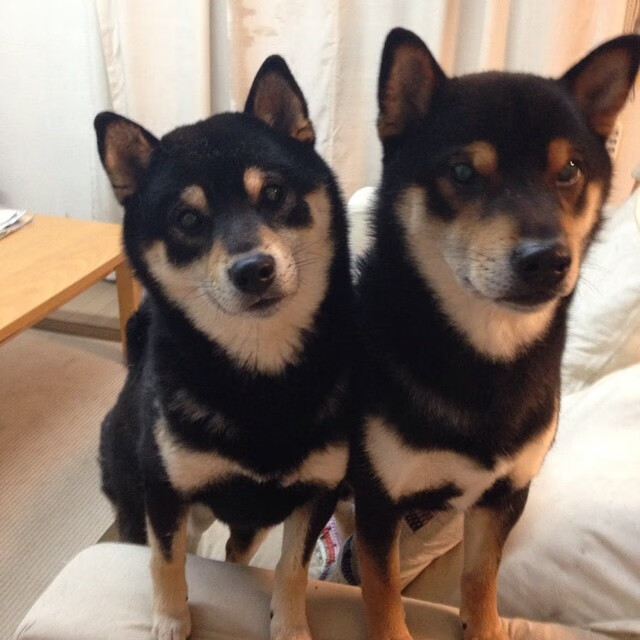 群星黯淡时，唯有他敢站在聚光灯下