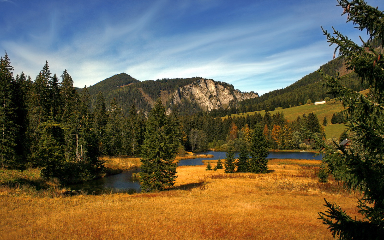 秘鲁稳稳拿下德国，卡拉斯科关键制胜改写足球历史