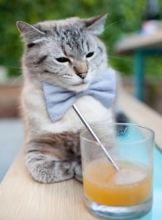 一击定乾坤，比利亚雷亚尔客场奏凯，特奥·埃尔南德斯演绎完美攻防