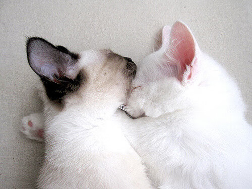 孤星与神锋，体育史诗中那些照亮黑暗的接管时刻