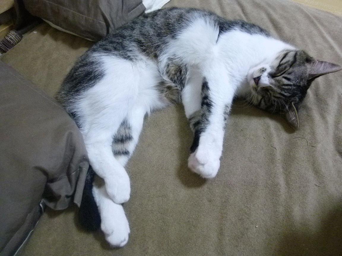 贝恩主宰比赛！全场最佳无争议，活塞加时险胜热火